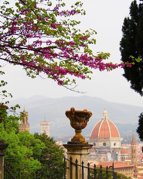 IMG_5655 Best views in Florence