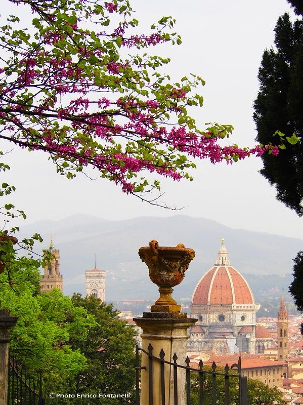 Panoramic view of Florence with the Duomo from Piazzale Michelangelo